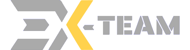 Ex-Team Trade & Investment Holdings Hong Kong Ltd